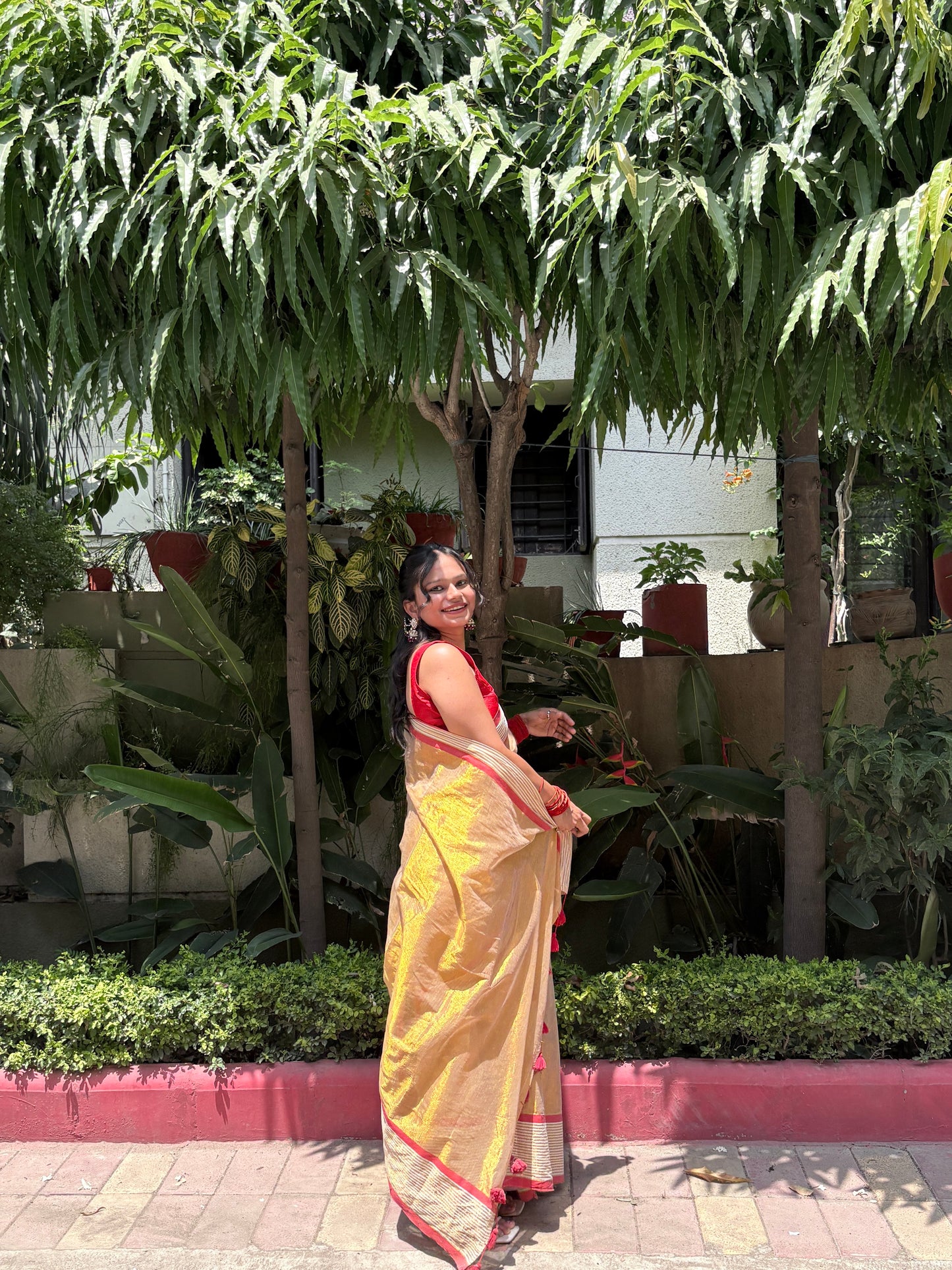 Golden Tissue Cotton Saree with Red Border | Elegant Festive & Occasion Wear