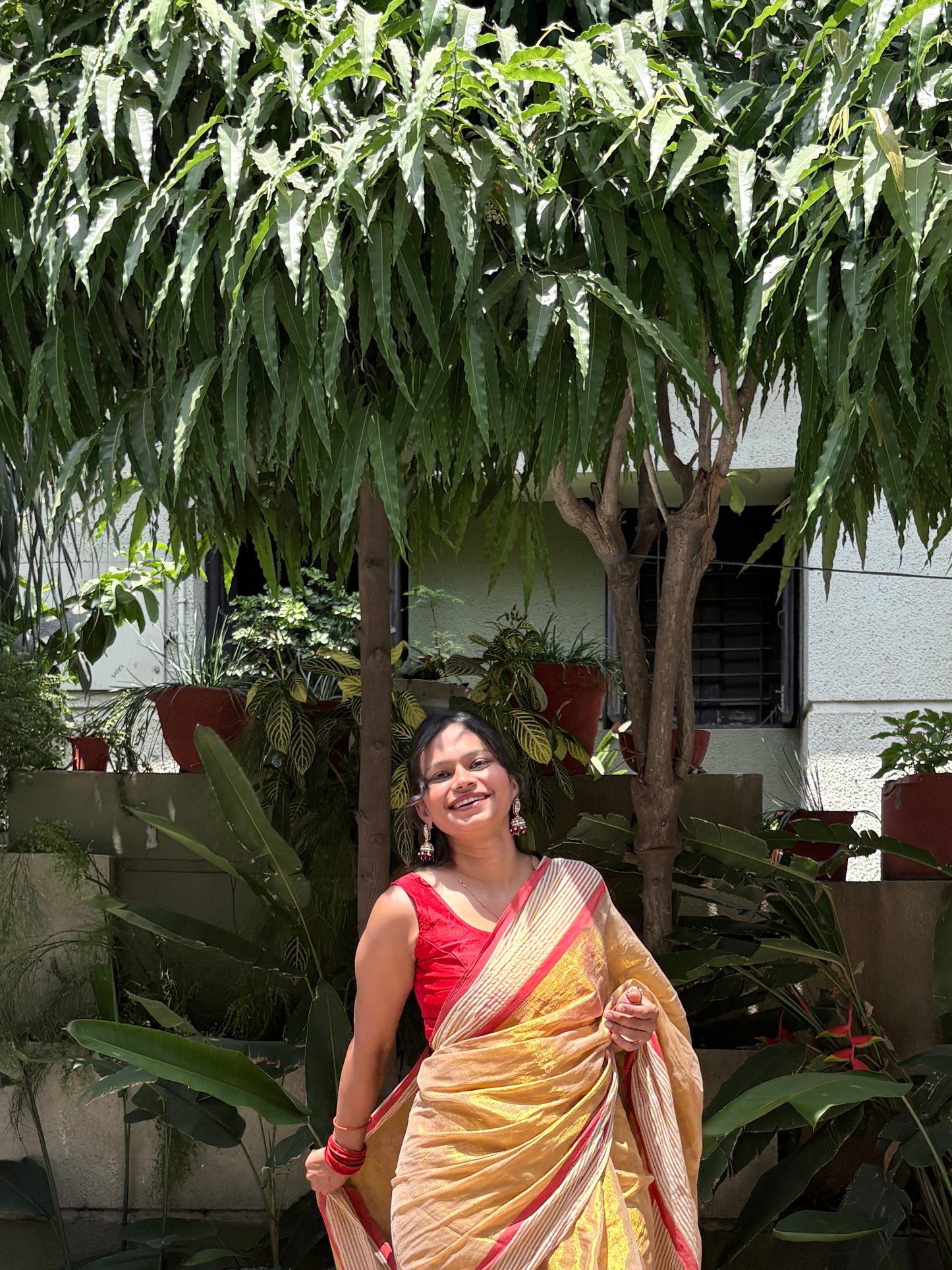 Golden Tissue Cotton Saree with Red Border | Elegant Festive & Occasion Wear