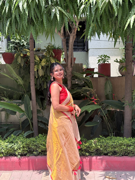 Golden Tissue Cotton Saree with Red Border | Elegant Festive & Occasion Wear
