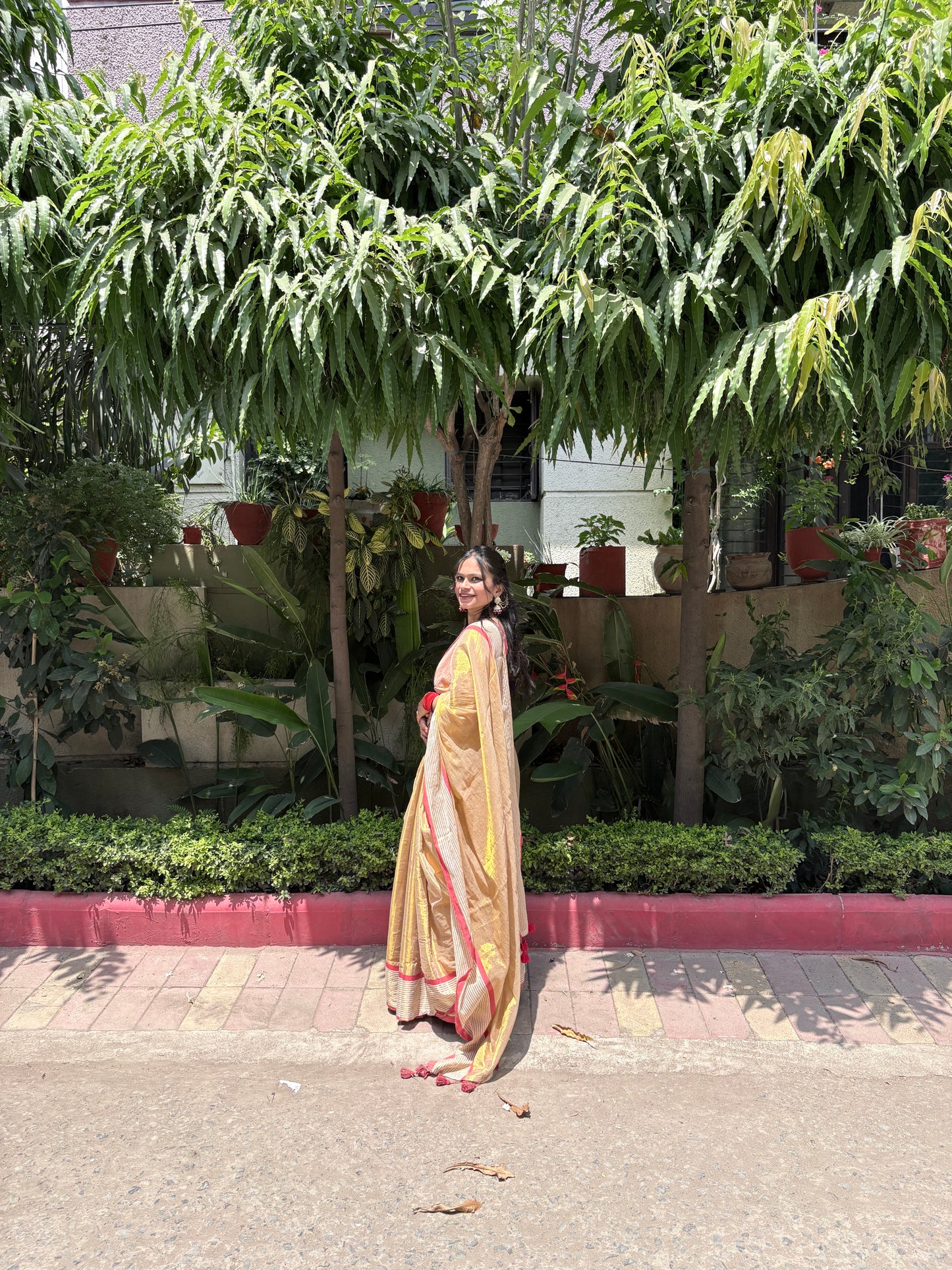 Golden Tissue Cotton Saree with Red Border | Elegant Festive & Occasion Wear